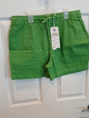 Laguna B Men's Green Flat Front Shorts